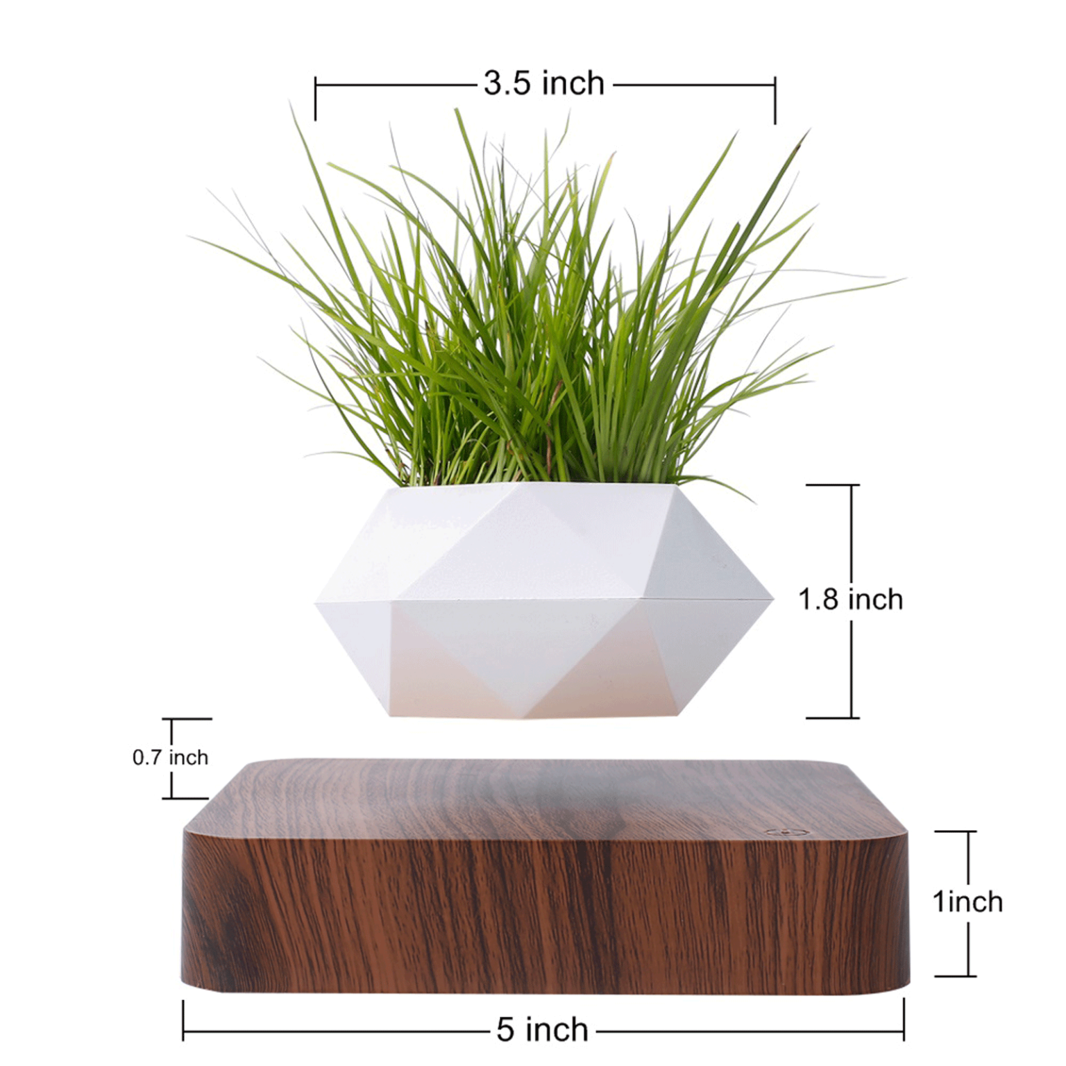 How does the factory make the levitating plant pot? HCNT Levitation